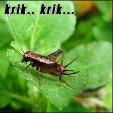 10-meme-whatsapp-terlucu-yang-bikin-grup-pecah