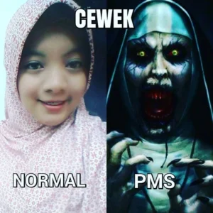 9-gambaran-meme-pms-yang-bikin-pria-garuk-kepala