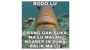 6-meme-hewan-paling-kocak-yang-bikin-ngakak-guling-guling