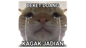 6-meme-hewan-paling-kocak-yang-bikin-ngakak-guling-guling
