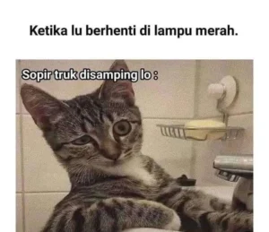 10-meme-tiktok-paling-lucu-yang-bikin-ngakak-seharian