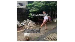 6-meme-hewan-paling-kocak-yang-bikin-ngakak-guling-guling