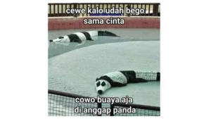 6-meme-hewan-paling-kocak-yang-bikin-ngakak-guling-guling