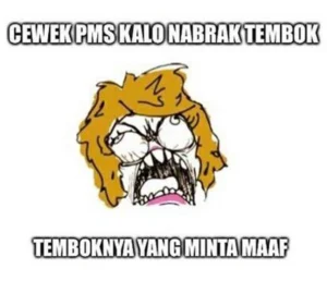 9-gambaran-meme-pms-yang-bikin-pria-garuk-kepala