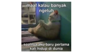 6-meme-hewan-paling-kocak-yang-bikin-ngakak-guling-guling