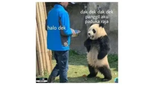 6-meme-hewan-paling-kocak-yang-bikin-ngakak-guling-guling