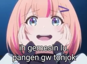 cara-mengubah-meme-viral-jadi-stiker-wa-yang-unik