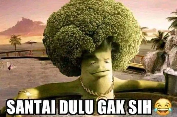 mengenal-estetika-shitposting-dan-alasan-meme-ini-viral