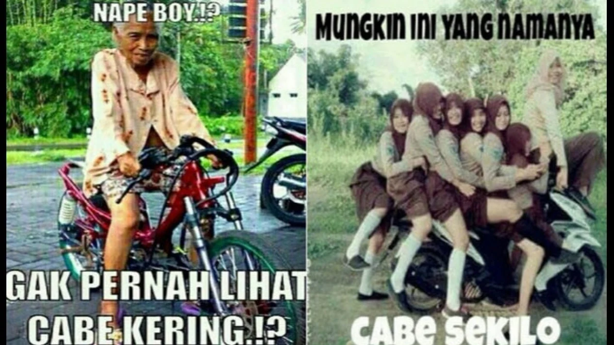 mengapa-meme-kocak-begitu-ampuh-mengisi-hari-hari-kita